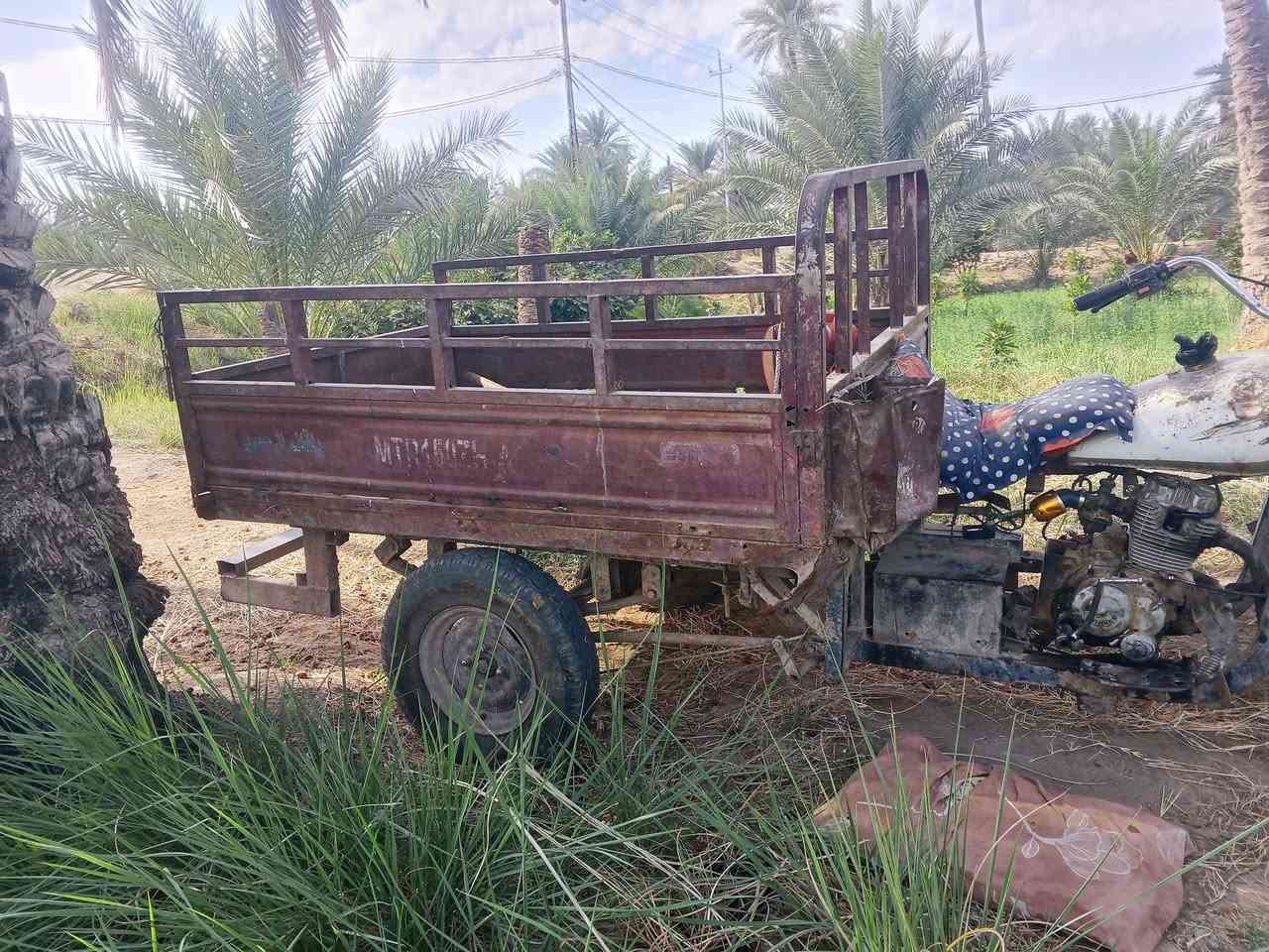 ستوته • شغالة • برميل وتايرين