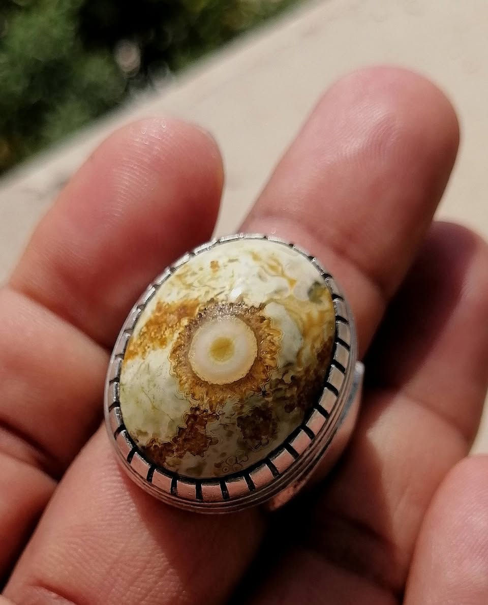 المميزون في نشرنا الباقون على عهدنا بأن ننشر لكم النوادر من الأحجار النفيسه التي يبحث الهوات عنها نقدم لكم جوهره من الداودي المختلف يمتاز بلونه الصحراوي الجميل ذات صياغه في غايه الروعه للبيع على الخاص اوالاتصال على الرقم التالي ***********
