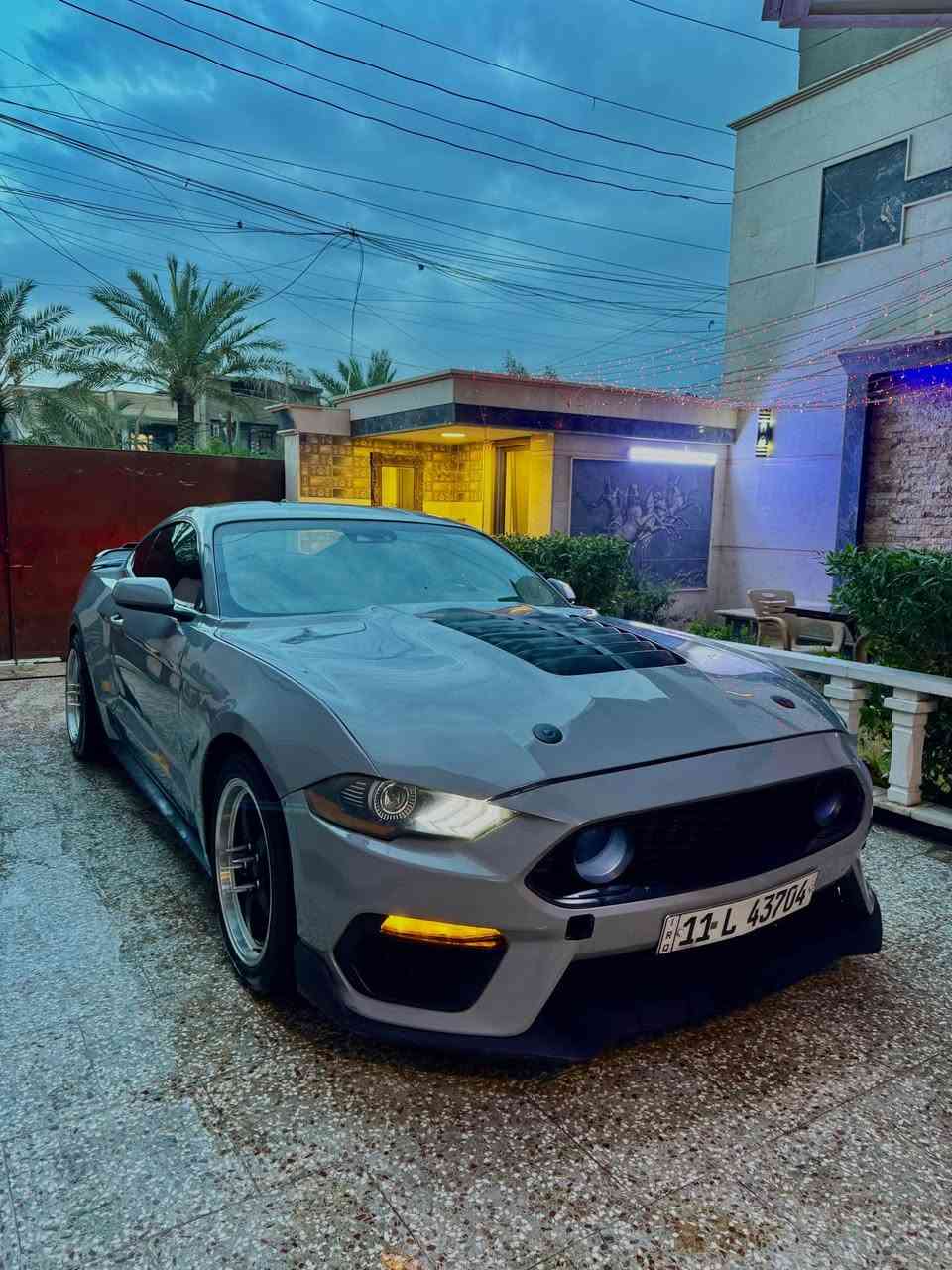 موستانغ ايكو بوست • ٢٠٢٢ • مصدومه