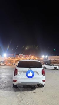 باليسيد ليمتد • ٣.٨ لتر V6 • ٧ راكب