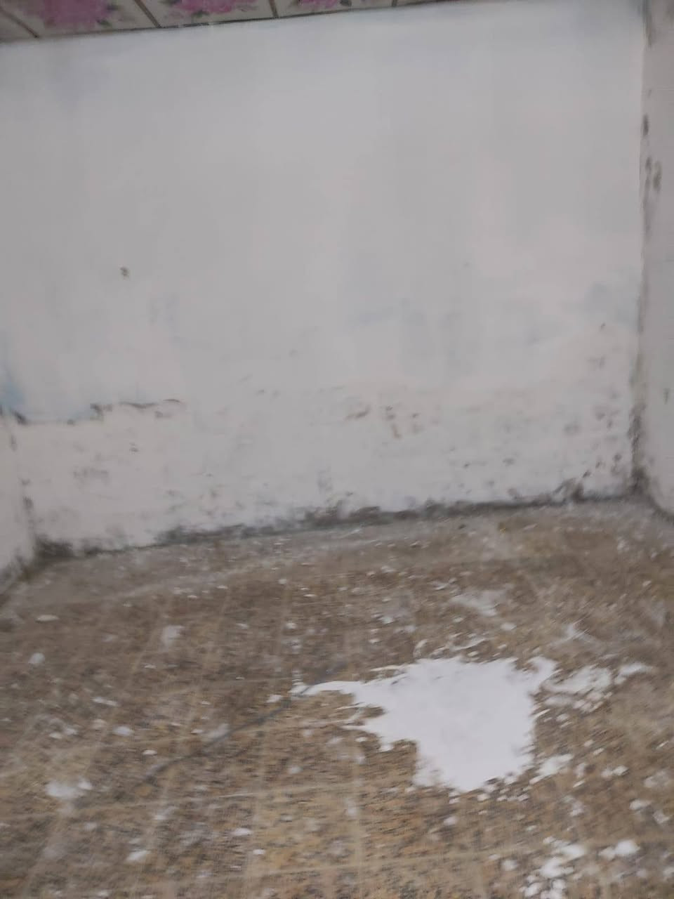 ربيت للبيع عكاده 25 مليون ماعدى هول جينكو للعلم مساحته 220 بعد بيه عرفه مكشوفه ***********

