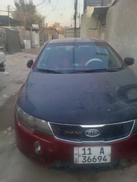 فورتي مديل 2110 ورد أمريكي مصبغ حزام السعر 70 وراق رقم 07714397292