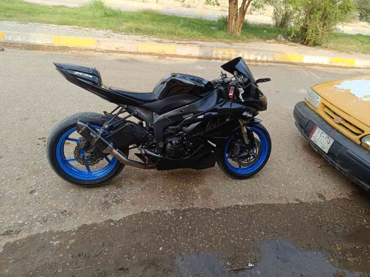 كاوسكي • ٢٠١٢ • برنات اصليه