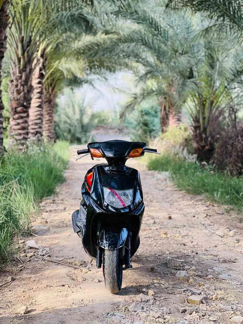 سكنس • نثيه • كابريتر