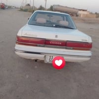 شيزر • مكفولة • للبيع