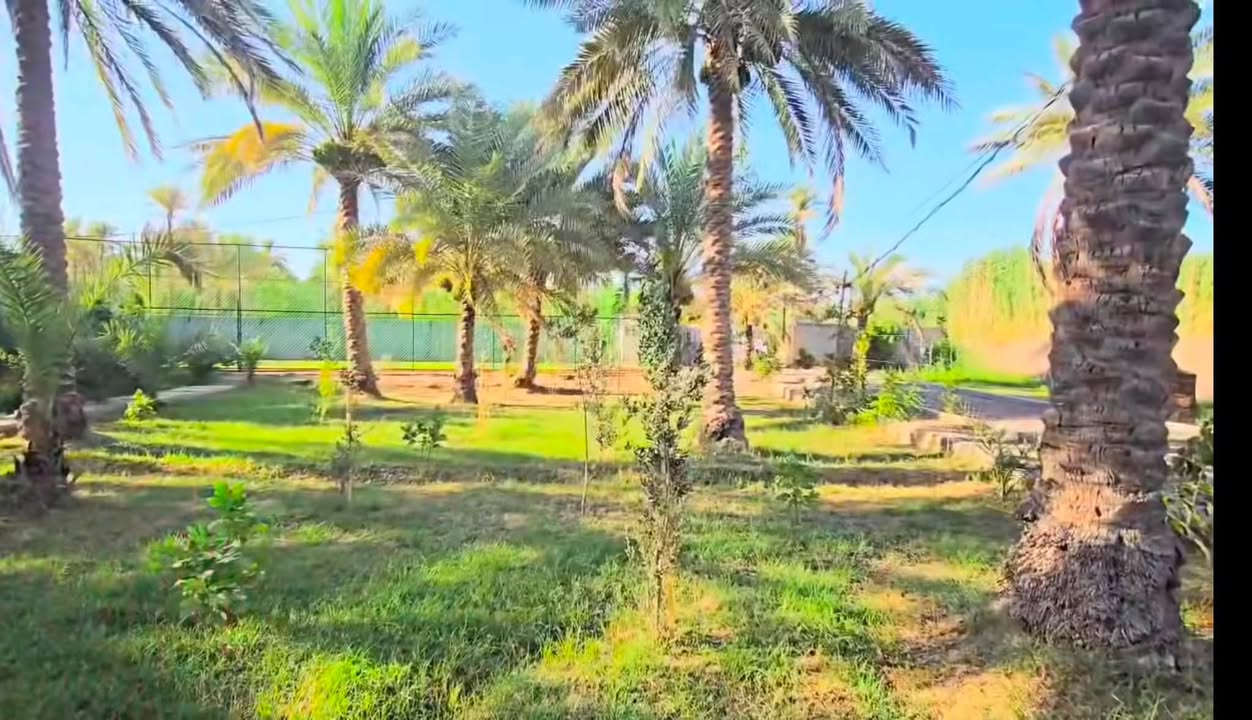 سلام عليكم
للبيع دونم زراعي سند ٢٥ بالحسينية / ام ماشة  بعد عن مفرك الابراهيمية تقريبا ٢ كيلو  
*********** 
للاستفسار
