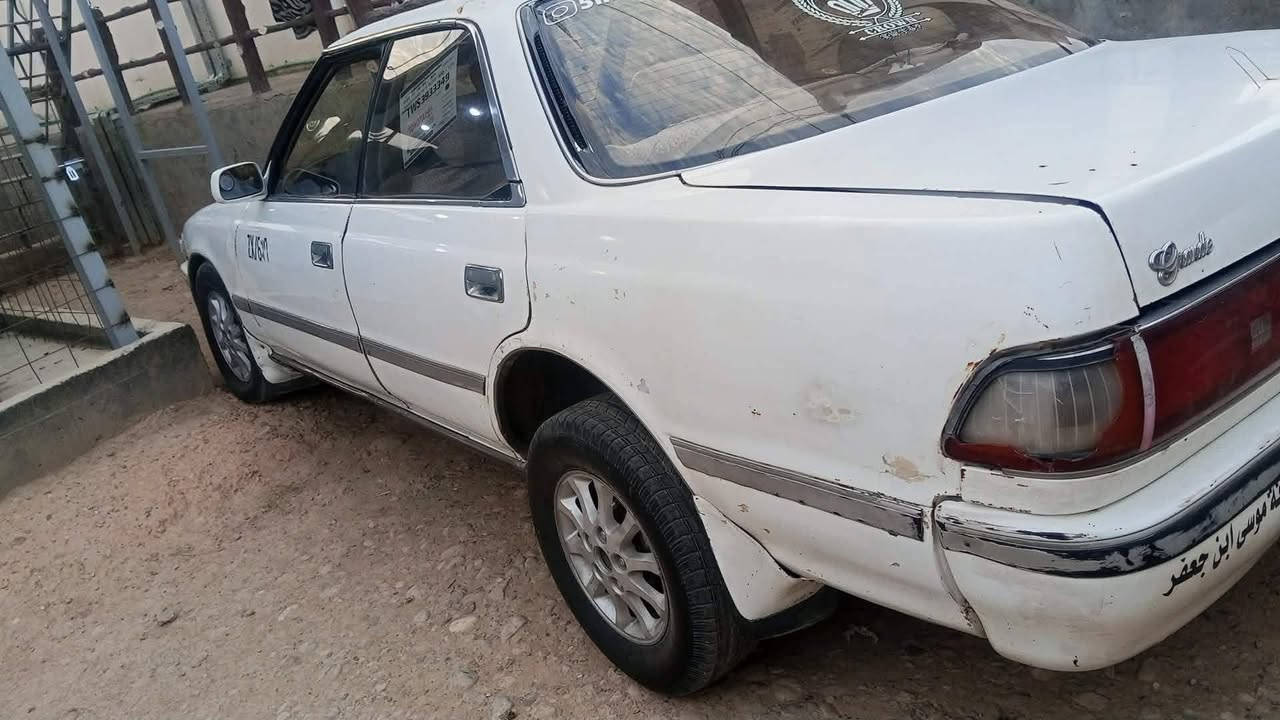 مارك شطح • ١٩٩٢ • ضربة خلفية