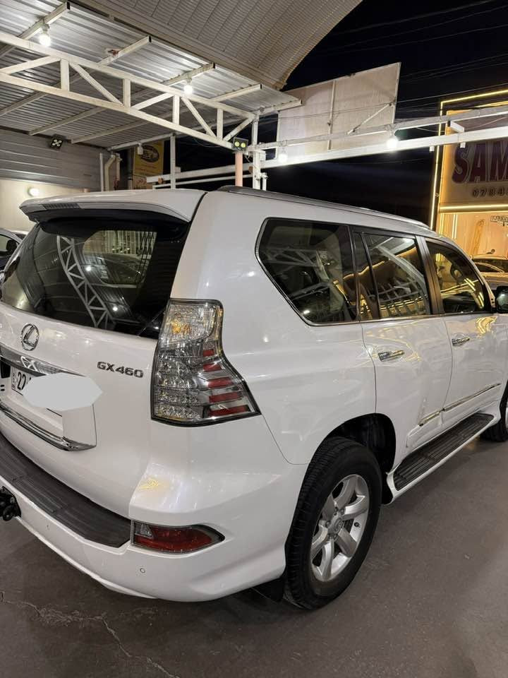 السلام عليكم
لكزز GX 4600 خليجي 
محرك 8 سلندر 
موديل2019 
مكفولة من بارد صبغ وتبديل و فتح حتة دعاميات و شخوط 
بصمات 2 
رقم اربيل بسمي تحويل + وكالة 
مواصفات 
جكات جوبلس
كيجات كتروني 
شاشات عدد 3
كشن ذاكرة 
ستيرن كهرباء 
لايت 4 عدسات زنون 
فتحة بل سقف 
سيارة فول مواصفات

للاستفسار اتصال 
***********
