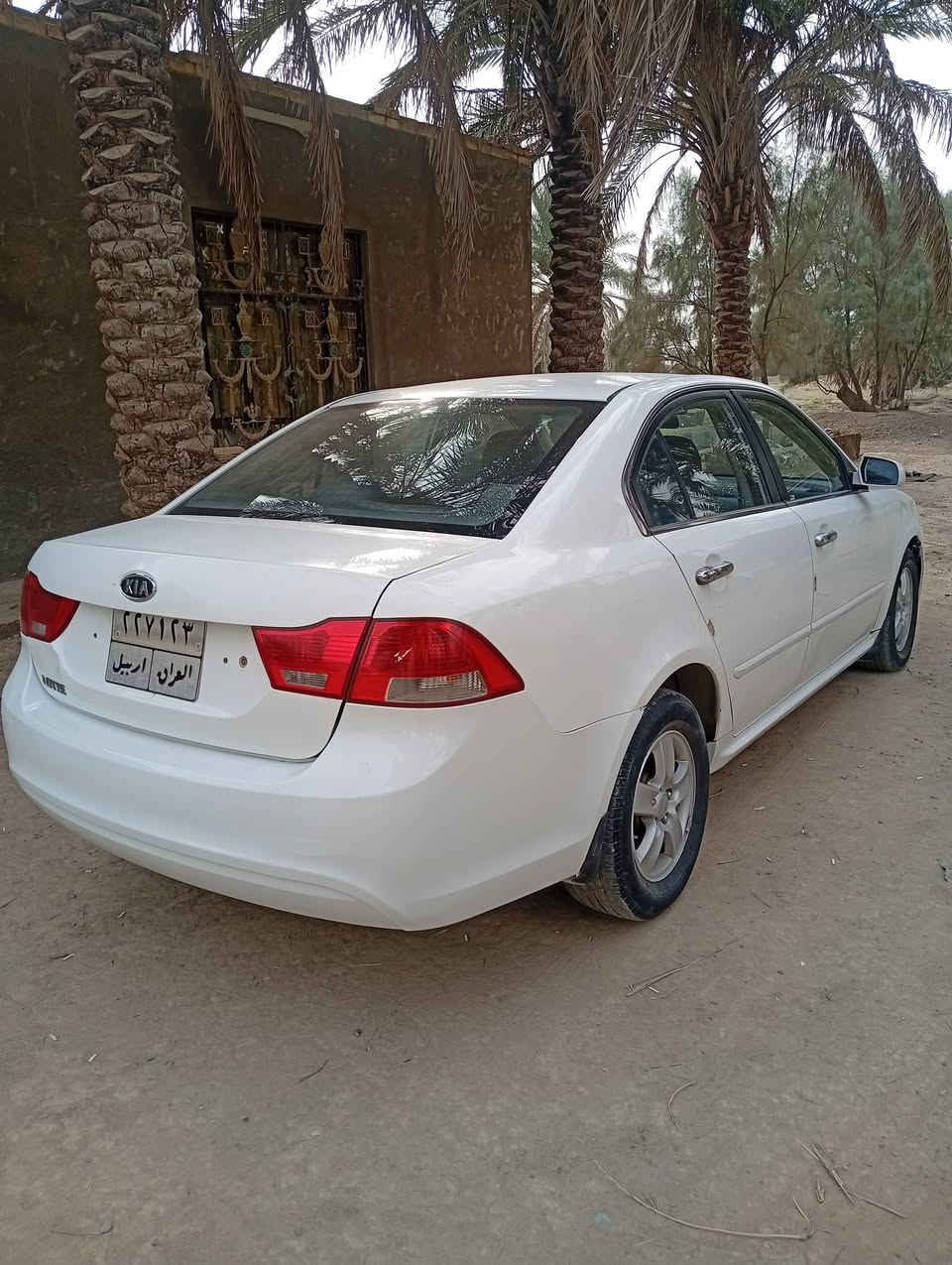 اوبتيما • بابل • ورقه
