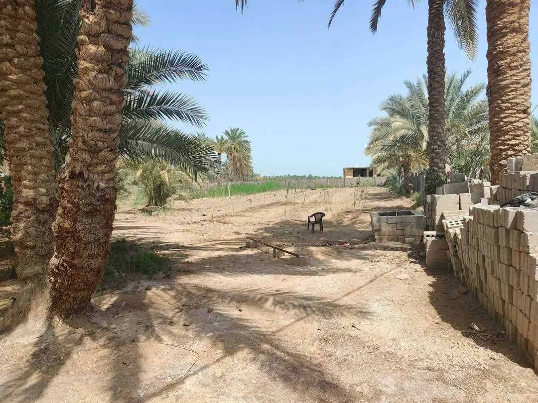 ٣ دونم • كربلاء طويريج • بيت جاهز منظومة شمسية