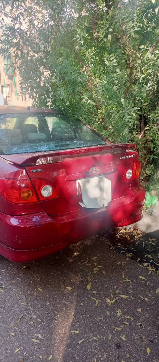 بيع كورلا وارد امريكا ٢٠٠٨ نحلة رقم بغداد تبريد ثلج مكينةجديدةلاتنقيص ولاتبخير كير تمام داخلهة كلش حلو مكاني بغداد زيونة خلف دار الأزياء سيارة مصبوغة عام***********

