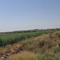 ٥ دونم • طابو سند ٢٥ • قرب الشلالات
