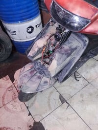 فراشه • نثية • مفتوحه