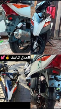 جيتي ار • ثعلب • كفاله