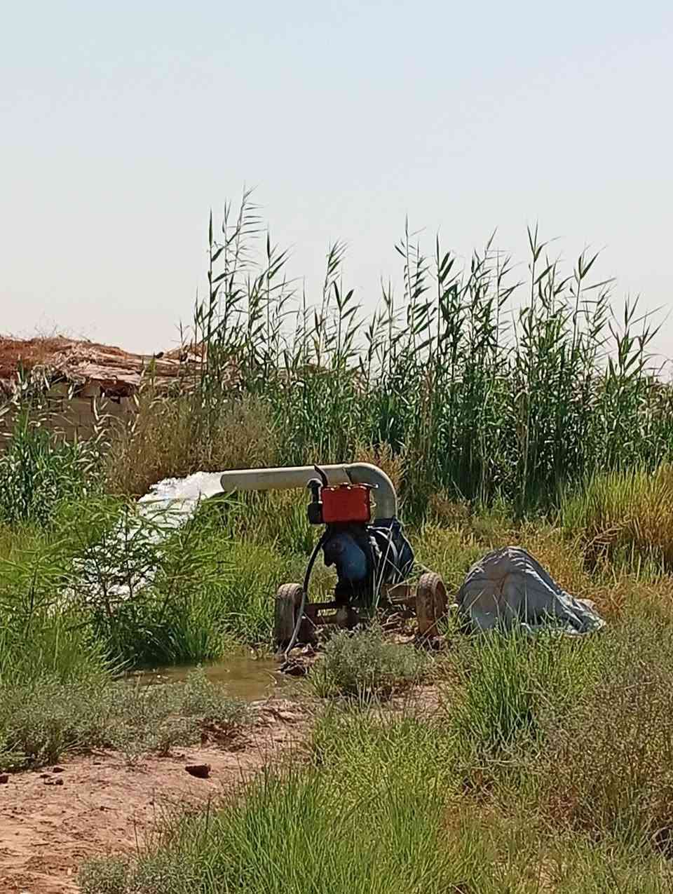ارض زراعيه للايجار30دونم
مضروبه ليزر
وياها ماطور كاز جديد
واسط الصويره قرب برينج
للاستفسار ***********
