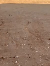 الصويرة • ٢٠٤م • طابو زراعي