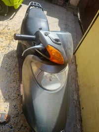 سبيسي • ياباني • سلف
