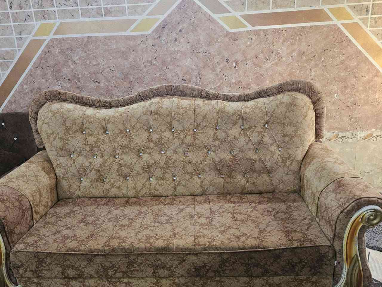 تخم • مستعمل • ١٢ نفر