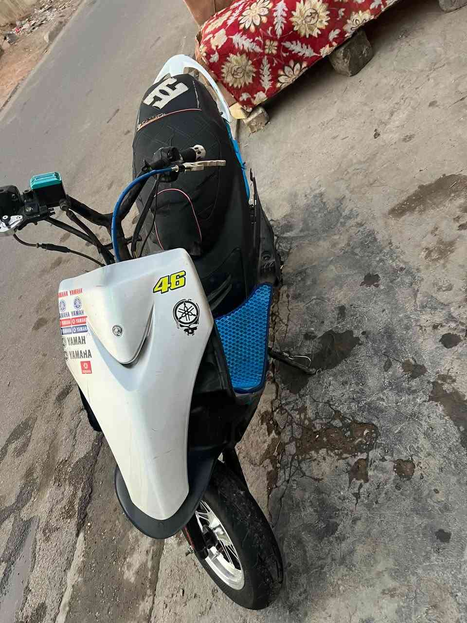 ماكس • شغاله • بوب شام