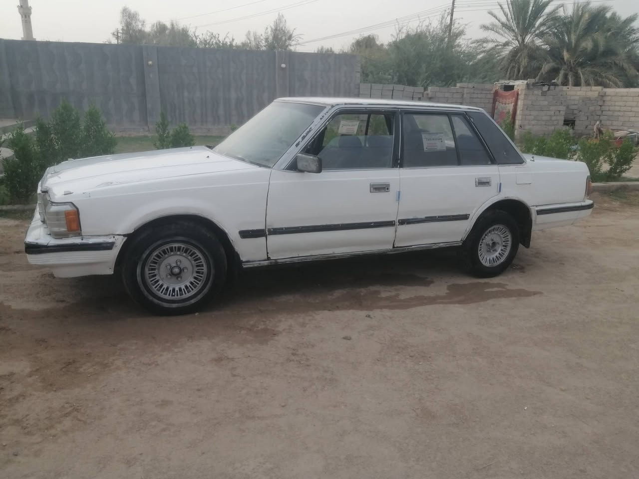 موديل ٨٥ • كاردنات جديدة • رقم نجف