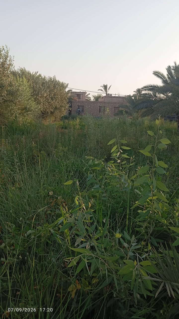 للبيع قطعت أرض دنيمين سند 25 النجف ابو صخير مع بيت يتكون من ستقبال 4\10 وصال4\10    3 غرف نوم 4\5 الستفسار

***********
