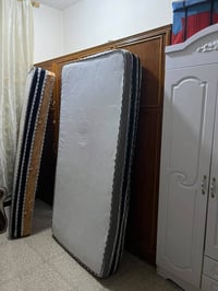 دواشك ام النفر • استخدام قليل • جربايه حديد‎‎‎‎‎‎‎‎‎‎‎‎‎‎‎‎‎‎‎‎‎‎‎‎‎‎‎...