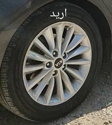 ويل كادنزا • ١٨/١٧ • مراوس