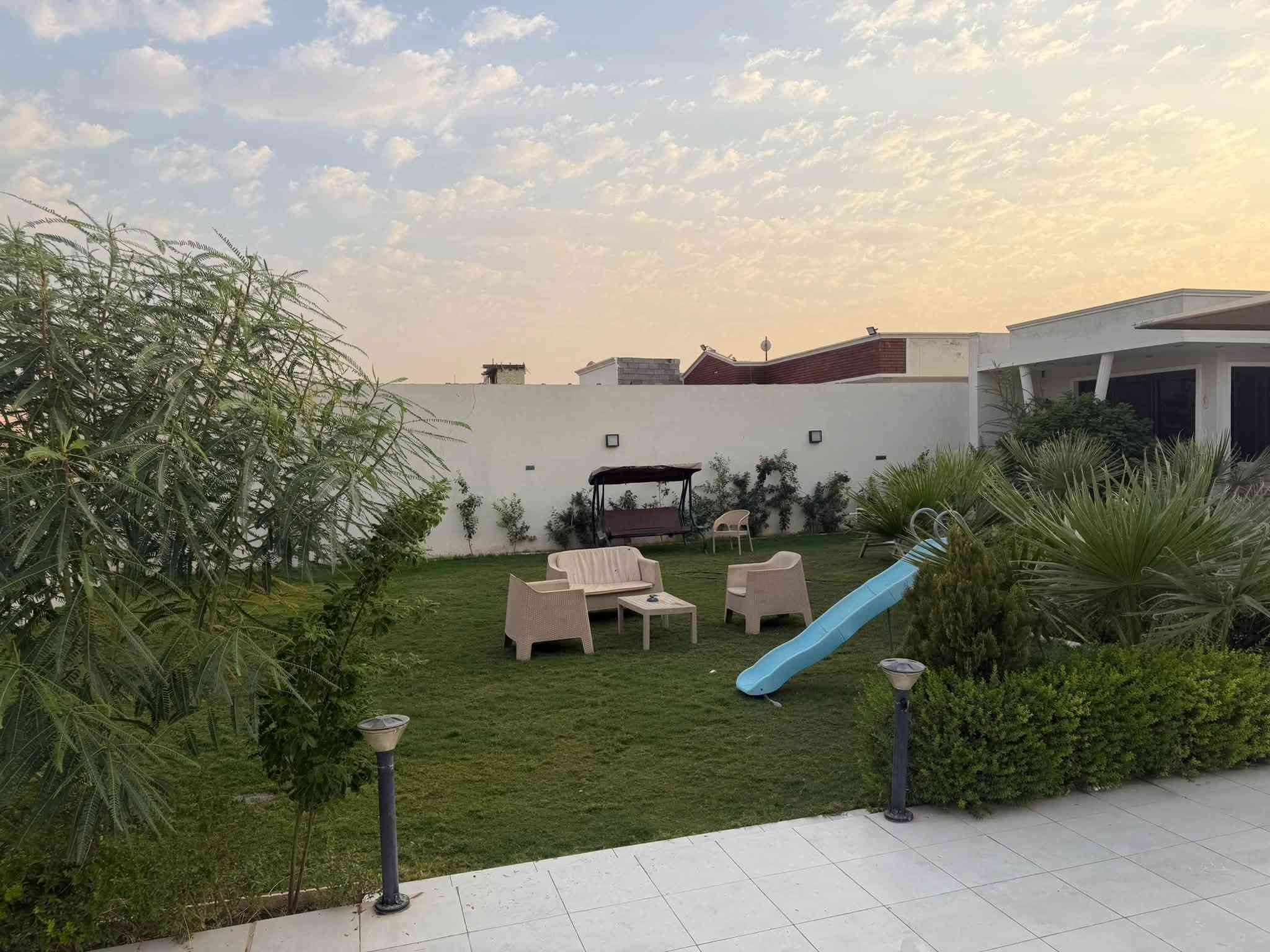 متوفر اليوم مسائي بعيثه  ***********
