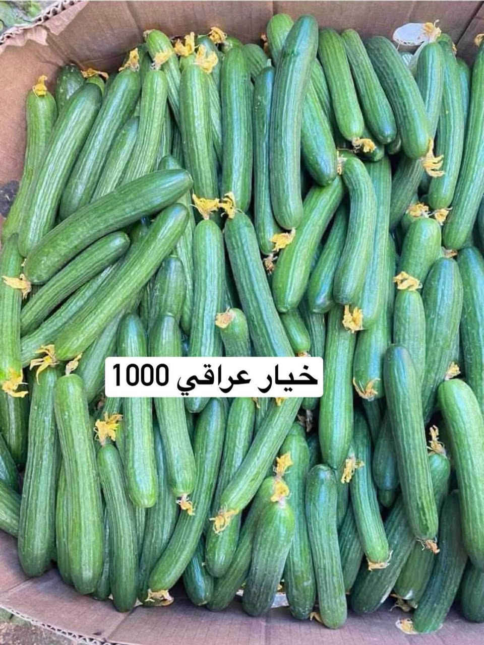 علوة بركات بسماية • خضار وفواكه • توصيل