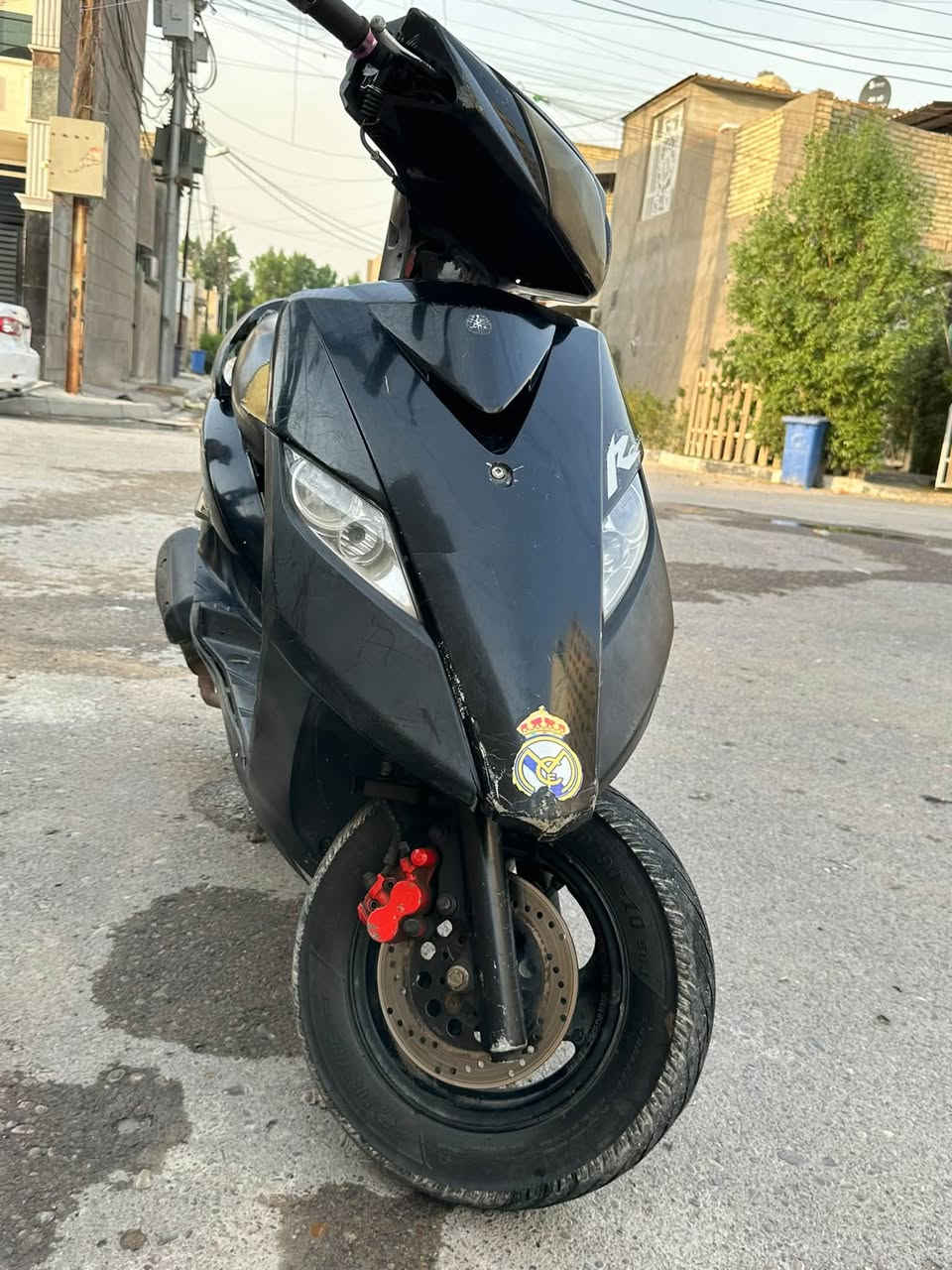 ثعلب • نقص • جوزه شغاله