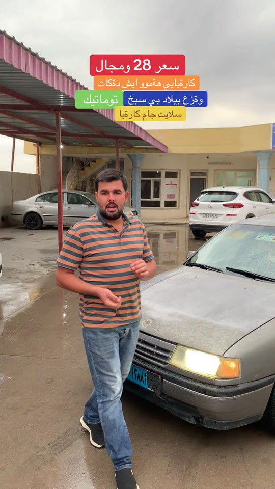 توماتيك • سلايت • نص بالصور