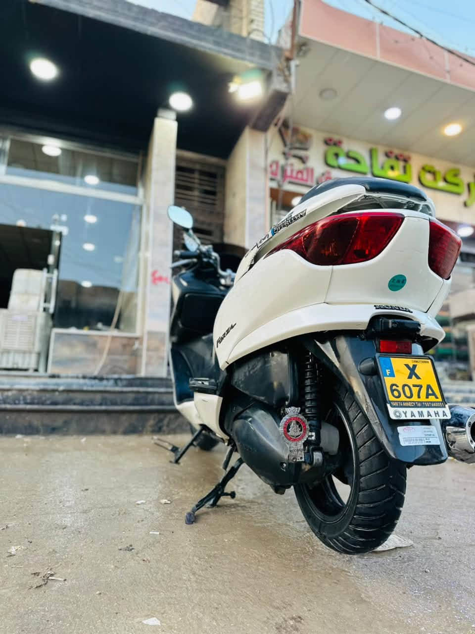 فورزه • ٣٨ • مكفوله