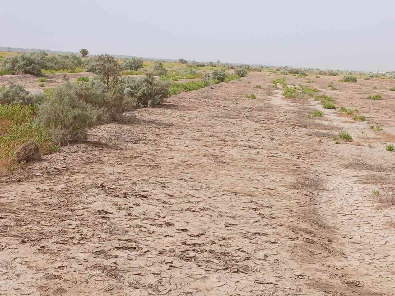 قطع شويفي • ٧ دونم • عقد زراعي ١٧