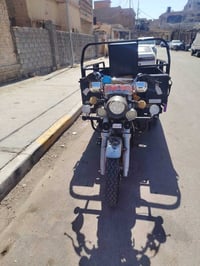 ستوته • موديل ٢١ • اوراق كاملة