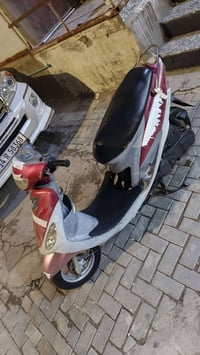 قجمة • وكيل • فول
