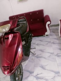 فراشه ياباني • كامله • شغاله