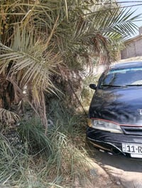 برنس • موديل ٩٤ • گير عادي
