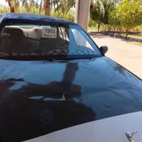 برنس • ١٩٩٤ • الفلوجه النساف