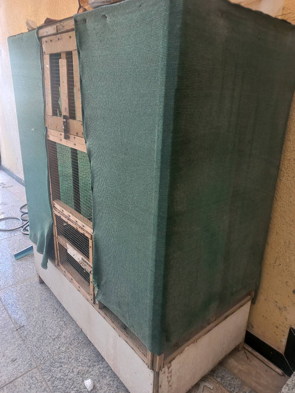 قفص طيور • طيور زينة • البصرة