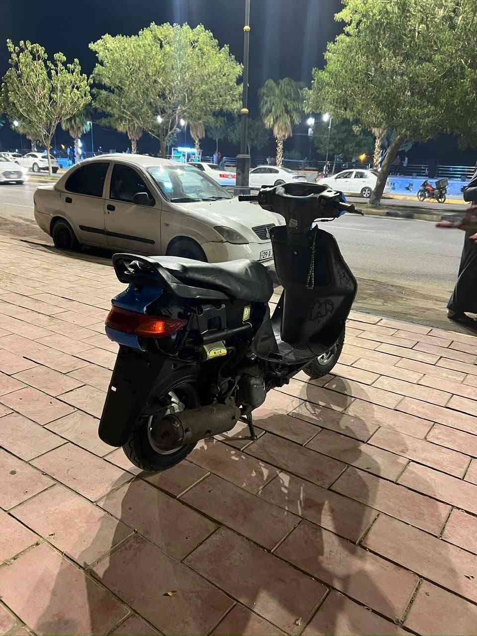 فراشة • مامفتوحه • معدل