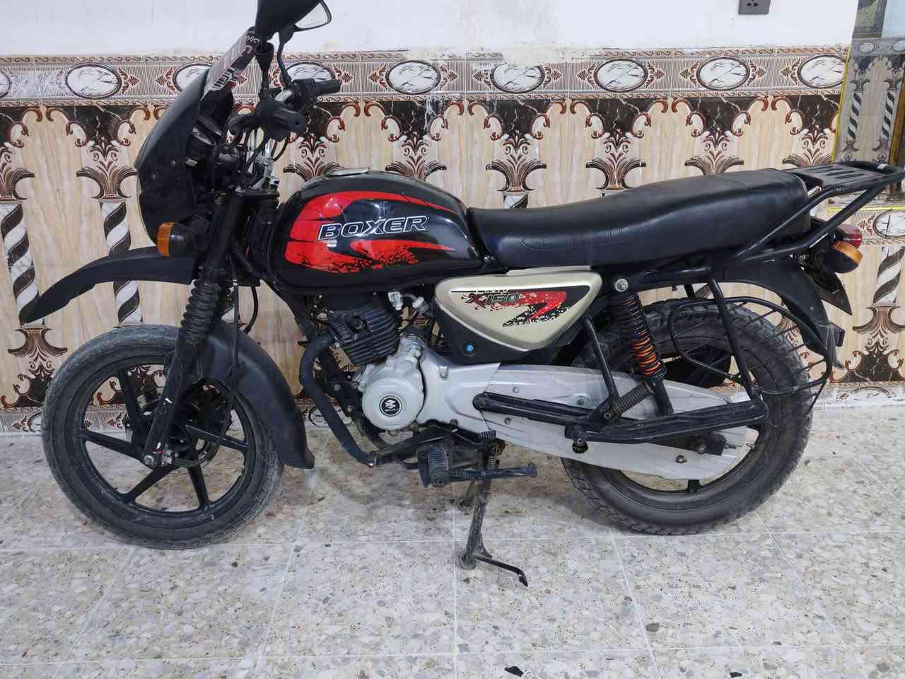 بوكسر جبلي • ٢٠٢٣ • مرقم