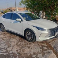 دسترويل • ٢٠٢٥ • رقم اربيل