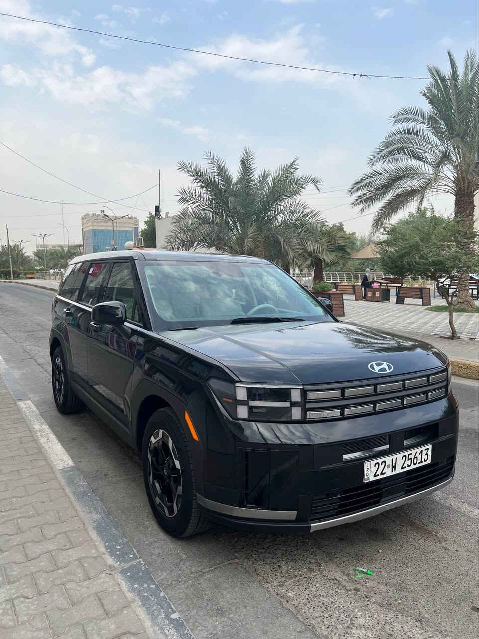 سنتافيا • ٢٠٢٤ • رقم اربيل