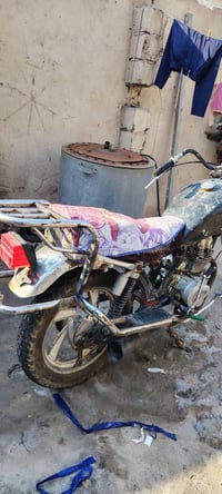جونده • MTR • شغاله