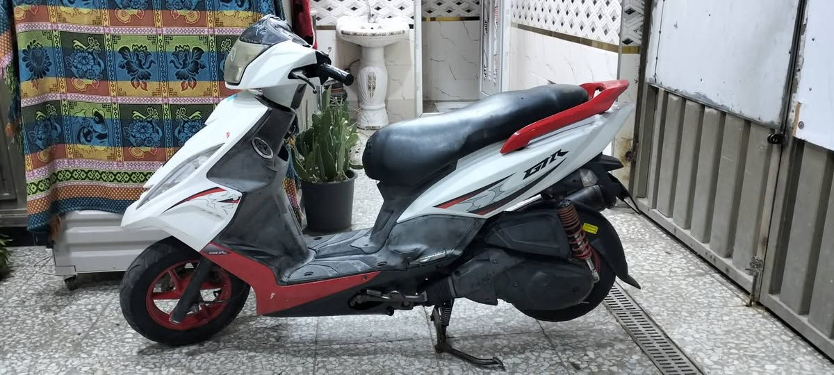 جي تي ار جديدة كلها شغاله بلاديه
سعرها 800 مكان بغداد العبيدي ***********
