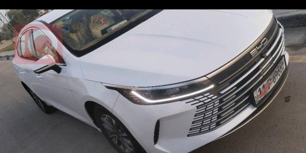 ديستروير • ٢٠٢٥ • مجال بسيط