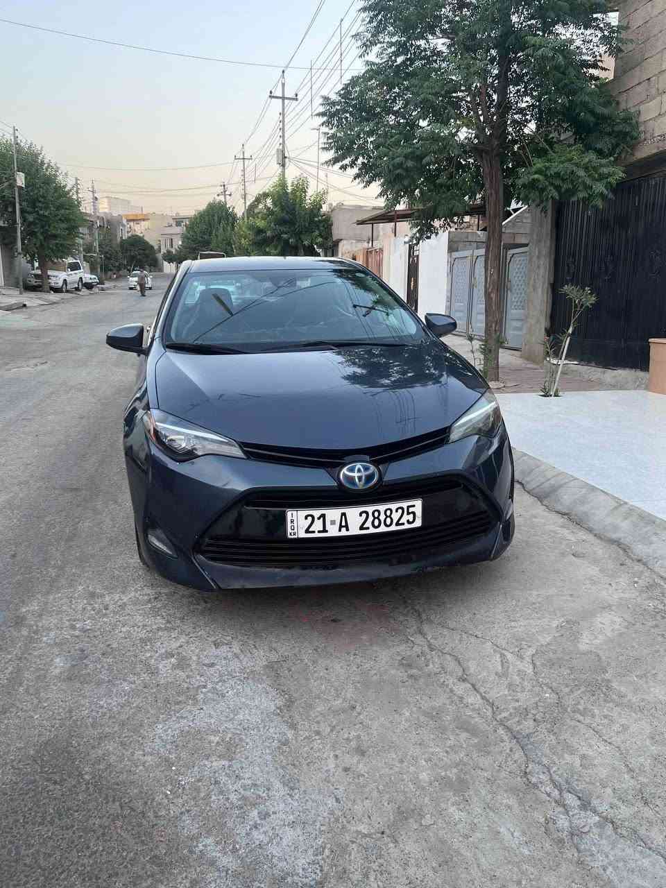 تۆیۆتا کرۆلا مۆدێل 2019 LE 
یەک پارچە بۆیاخ سەیارەکی بێ مەسرەف 
و پاکوخاوێنە 
65 مایل ڕۆشتووە 
١٣٥ گەڵا و مامەڵە
ڕ.ت/ ***********
