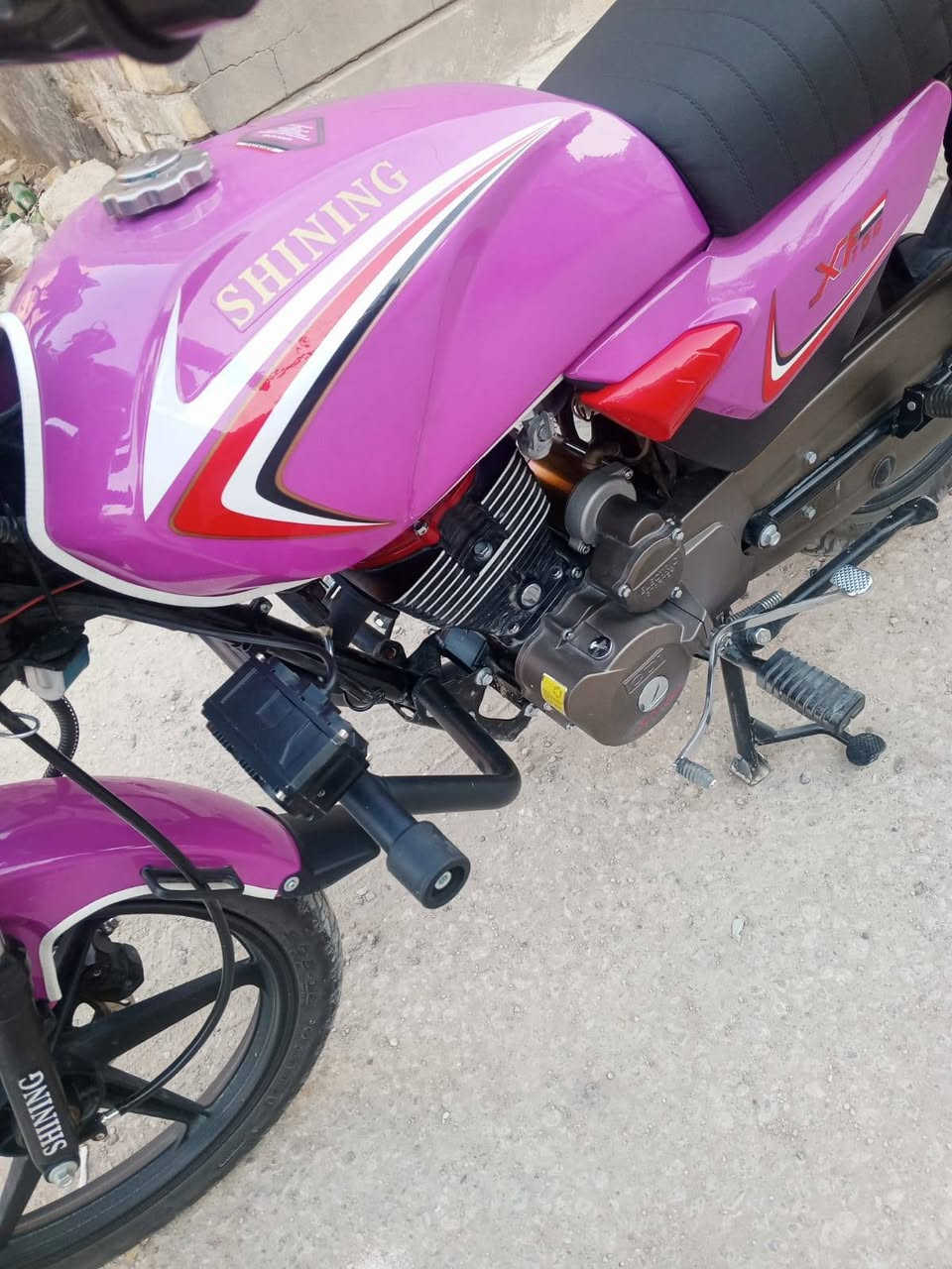 شاينك • ٢٠٢٦ • أوراق