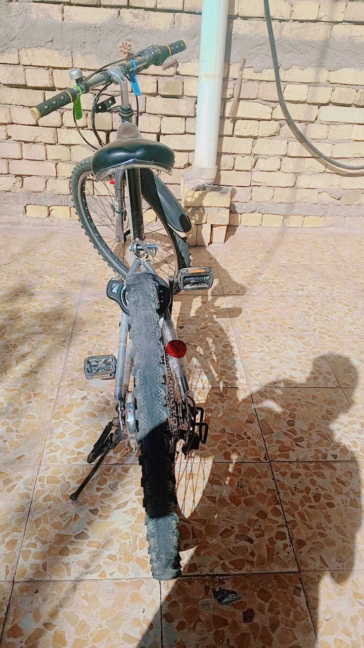 السلام عليكم للبيع او امروس حجم ٢٤جبلي حلو السعر ٩٠ وبي مجال ***********
