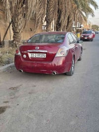 التيما • ٢٠٠٨ • رقم بغداد